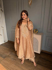 Beautiful anarkali suit in tissue fabric (Alia)