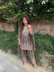 Beautiful hand embroidered tissue farshi suit (Simu)