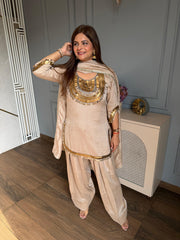 Beautiful hand embroidered suit with beautiful detailing on neck sleeves and ghera (Tanisha)