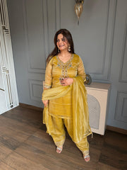 Crush tissue jewellery work farshi salwar suit (Samantha)