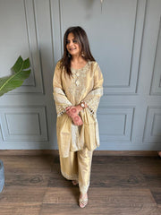 Pure tissue suit with complete handwork with tissue dupatta (Aanya)