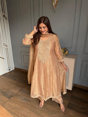 Beautiful anarkali suit in tissue fabric (Alia)