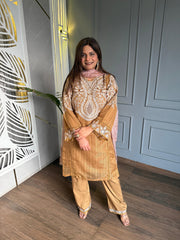 Pakistani stylish net tissue suit with beautiful embroidery detailing and cut work on shirt and dupatta (Bliss)
