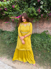 Beautiful hand embroidery mirror work sharara suit in pure chinnon (Sneha)