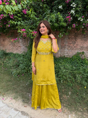 Beautiful hand embroidery mirror work sharara suit in pure chinnon (Sneha)